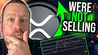 XRP THE REASON WHY YOU SHOULD NOT BE SELLING