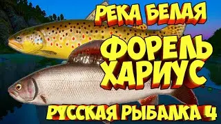 русская рыбалка 4 - Форель Хариус река Белая - рр4 фарм Алексей Майоров russian fishing 4
