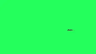 Animated Ant Green Screen CGI 3D Royalty Free