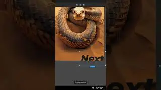 Figma Design Tutorial 