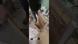 Фрамуга дверная