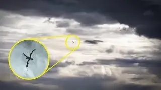 5 НЕИЗВЕСТНЫХ ЛЕТАЮЩИХ СУЩЕСТ СНЯТЫХ НА КАМЕРУ!!!