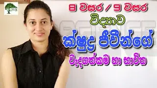 Grade 8 Science - ක්ෂුද්‍ර ජීවීන්ගේ වැදගත්කම Grade 9 Science Microorganisms | 8 වසර 9 වසර විද්‍යාව