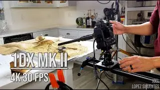 Macro Test Footage of Laowa 24mm Macro Probe Lens | Canon 1DX MKII