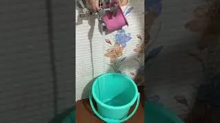 ИНДИЙЦЫ НЕ ОБМАНУЛИ #shorts