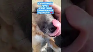 Я ЕЁ СПАСЛА И Я ОБЯЗАНА СЛЕДИТЬ ЗА ЕЁ ЗДОРОВЬЕМ ДО КОНЦА 