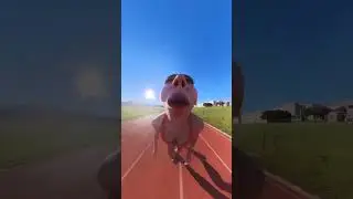 THIS RUNNING VIEW IS CRAZY #running #workout #360video #360