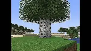 nice_tree.avi