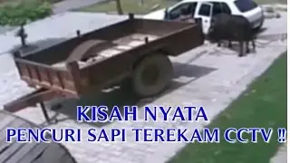 VIDEO KISAH NYATA YANG 