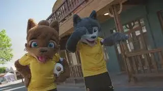 Official Family Partner | Drayton Manor x Wolves