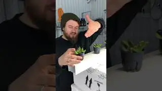 Вчера прилетел вопросик по каналам для салатной линии
