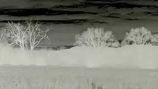 ZEISS DTI 3/35  Thermal Camera ~ Turkeys