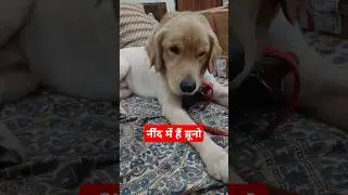 Nini आ रही 