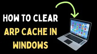 How to Clear ARP Cache in Windows 11