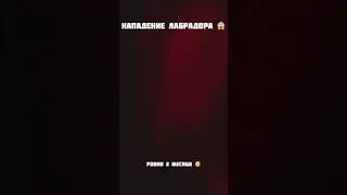 Зверское нападение 😱 