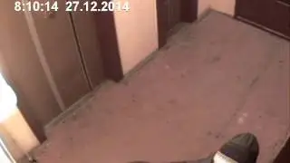 пакости в подъезде