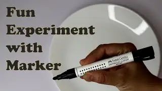 Amazing Trick with Marker Pen | Water Experiment | Fundoor Amaze 