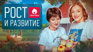 Практика: Митоз, мейоз, гаметогенез и онтогенез | ЕГЭ-2025 по биологии