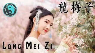 Long Mei Zi 龍梅子 • 情路彎彎【Beautiful Chinese Music】