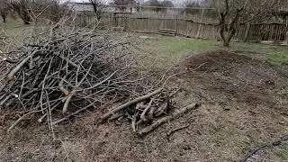 Жизнь в станице. Пилю деревья, расчищаю участок.