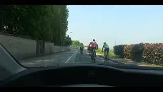 I soliti asini della Domenica.