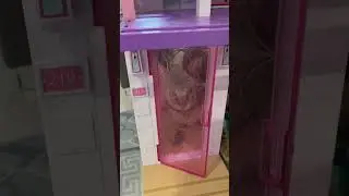 🐆😻 