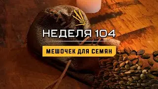 ICARUS NEWS #64 | Обновление 104 недели | Мешочек для семян | Игре 2 года