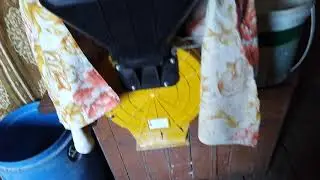 🇧🇾Свиньи как бизнес идея /Продал свиней/Смотрите что купил)