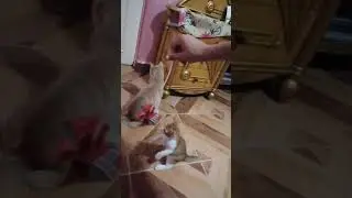 لمبادا بتلعب بوكس