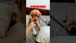 Cold drink De Do 