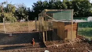 Переехали из города в станицу. Как теперь начинается наше утро.