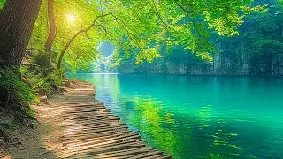 Gentle healing music for health and calming the nervous system, deep relaxation