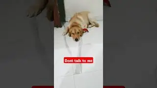Don't talk  
