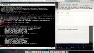 How to Install MongoChef on Linux and Connect to MongoDB Server and Import Sample Database?