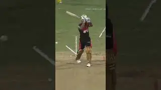Stumps SMASHED out the ground! 👀