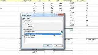 Creating a Macro in Excel - Praizion Excel 101
