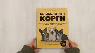 Великолепные корги. Все о породах вельш-корги-пемброк и вельш-корги-кардиган