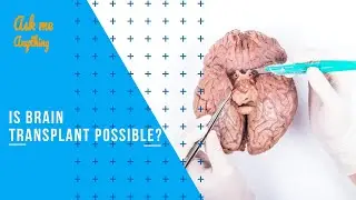 Is Brain Transplant Possible? Will Brain Transplants Ever be Possible? Head Transplant Update