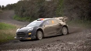 DAY 2 - Repco Rally New Zealand 2022 - L. Bertelli / L. Granai - Ford Puma Rally1