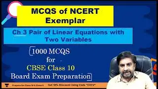 MCQs of Class 10 Chapter 3 Pair of Linear Equations with two variables from NCERT Exemplar