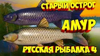 русская рыбалка 4 - Амур озеро Старый Острог - рр4 фарм russian fishing 4 Алексей Майоров
