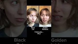#pov