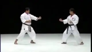 Рюэй рю Бункай ката Хэйку