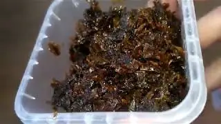 Как сделать табак для кальяна//Табак для кальяна как в магазине