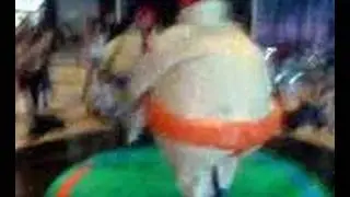 Leroy versus Peter sumo