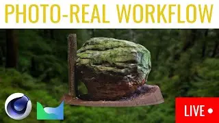 Creating Photorealistic 3D Assets // Photogrammetry