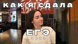 КАК Я СДАЛА ЕГЭ 2023 ПО ЛИТЕРАТУРЕ. МОИ ЭМОЦИИ