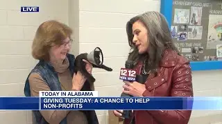 Giving Tuesday at the Montgomery Humane Society