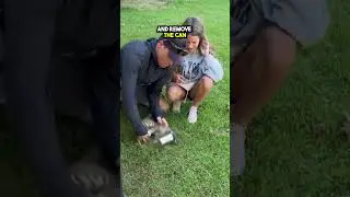 This Cat got STUCK in a Tin Can 😭