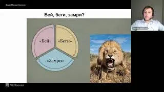 Стрессы, травмы, ПТСР. Часть №1